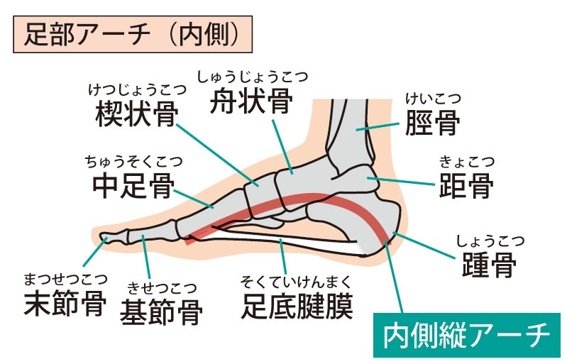 足関節